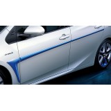 Side Protection Molding (Blue)