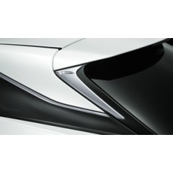 Modellista Lexus RX F Sport Backdoor Aero Plate