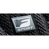Lexus LS F Sport Floor Mat Type F