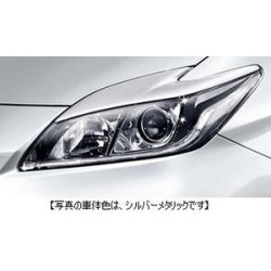 Toyota Prius Headlight Garnish 