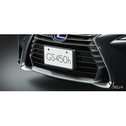 Lexus GS Number Frame (Front, Rear) & Lock Bolt Set  