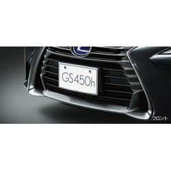 Lexus GS Plating Number Frame (Front, Rear) & Lock Bolt Set  